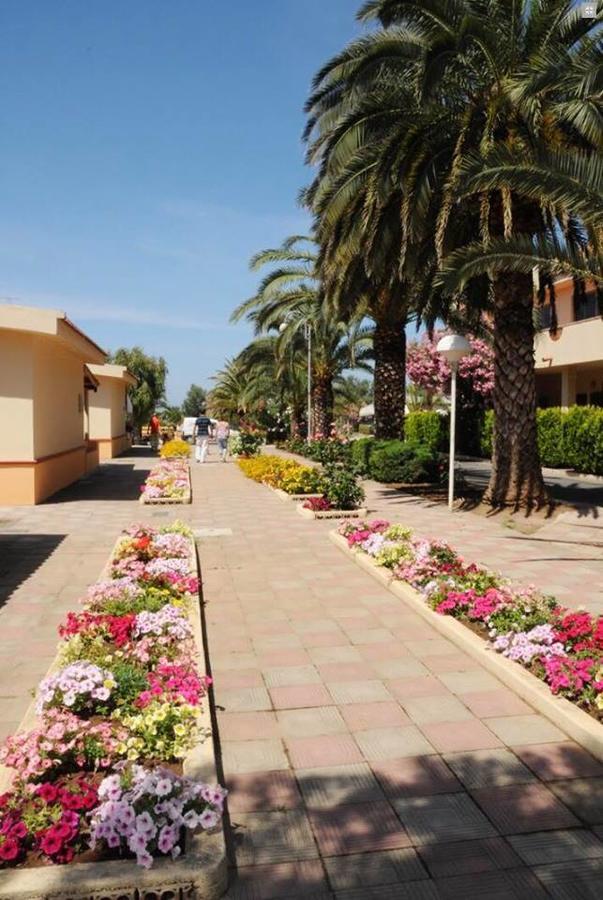 Hotel Summer Day Village Santa Maria Del Cedro Exterior foto